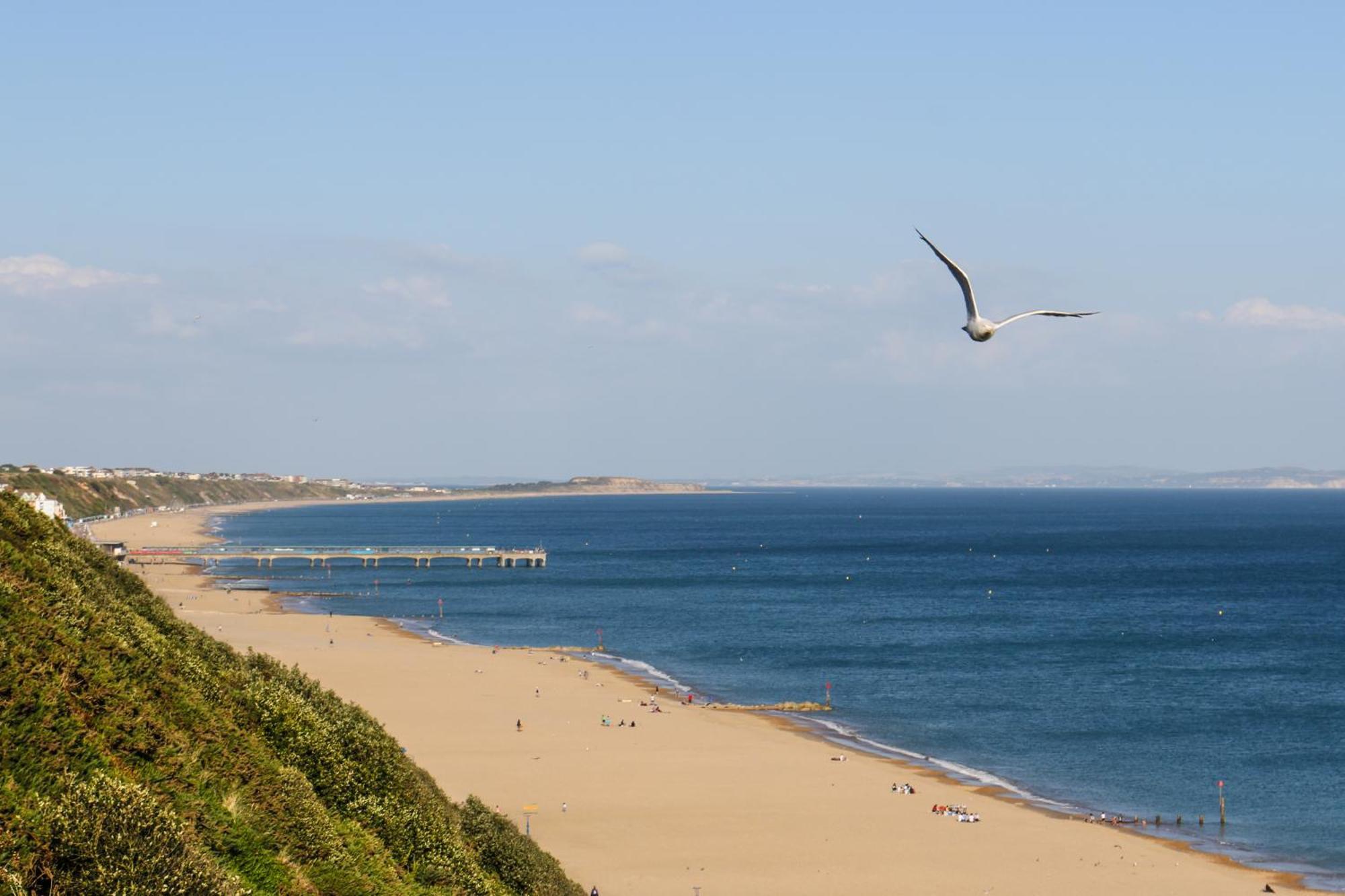 Modern Town Centre Flat - Free Shared Parking, King Size Bed, 5 Minutes Walk To Beach Bournemouth Luaran gambar